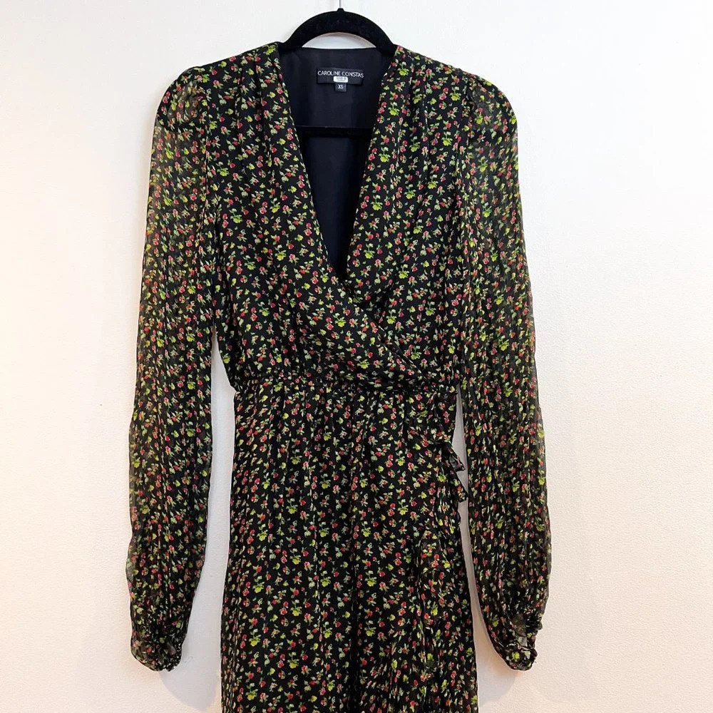 Caroline Constas 100% Silk Vivian Winter Floral V Neck Designer Maxi Dress XS - Picture 3 of 10